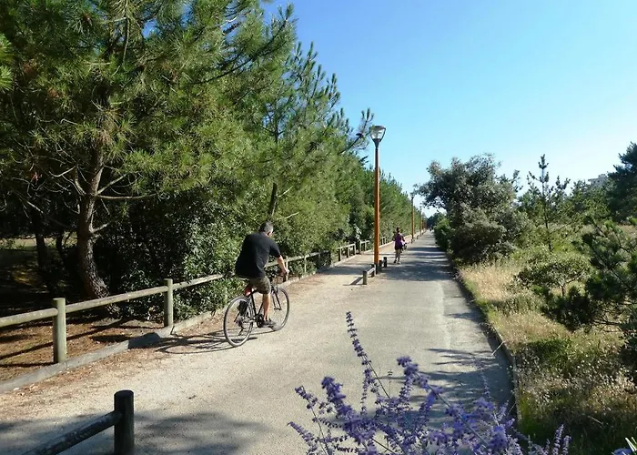 Thalassa T3 D'olonne *